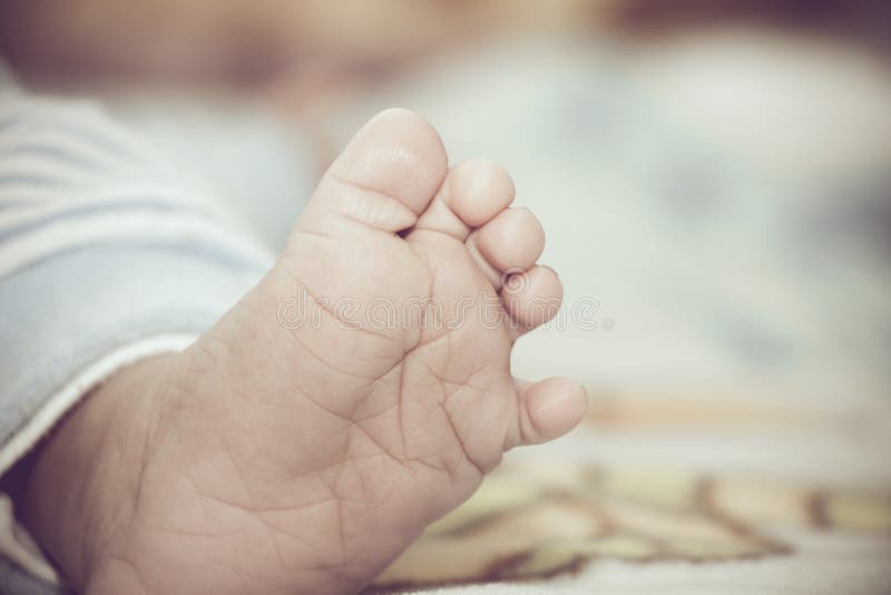 Weinig babyvoet stock foto's Weinig babyvoet stock foto's