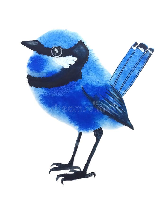 Weinig blauwe vogel met zwarte streep vector illustratie Weinig blauwe vogel met zwarte streep vector illustratie
