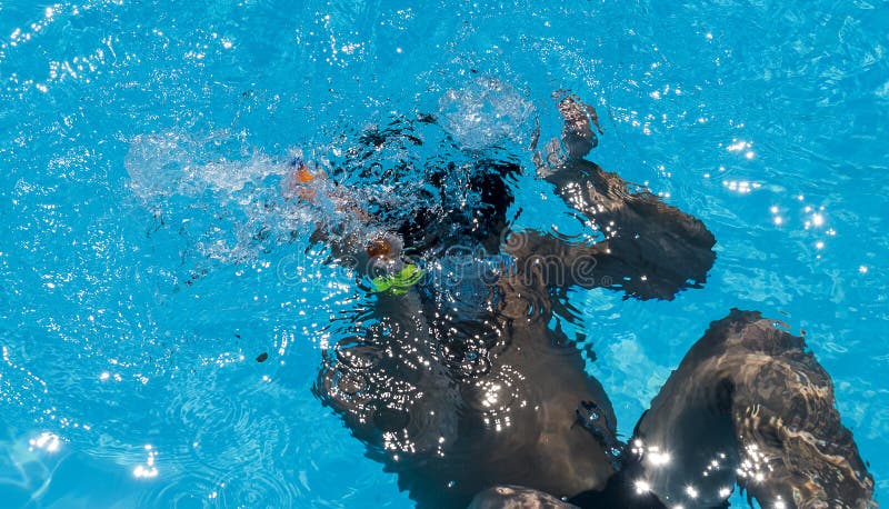 Weinig duiker in de pool onder water stock foto Weinig duiker in de pool onder water stock foto