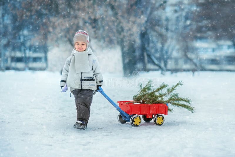 Weinig jongen draagt een Kerstboom met rode wagen Het kind kiest een Kerstboom stock afbeelding Weinig jongen draagt een Kerstboom met rode wagen Het kind kiest een Kerstboom stock afbeelding