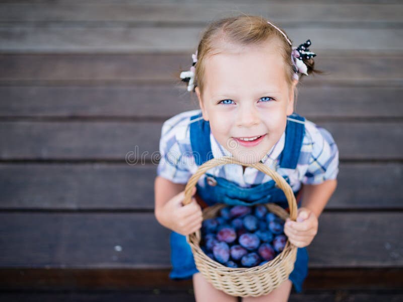 Weinig kindmeisje met mandhoogtepunt van pruimen stock foto's Weinig kindmeisje met mandhoogtepunt van pruimen stock foto's