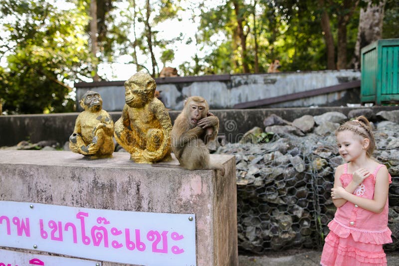 Weinig mooi meisje die zich dichtbij aap gouden beeldjes en macaco bij dierentuin in Thailand bevinden royalty-vrije stock foto Weinig mooi meisje die zich dichtbij aap gouden beeldjes en macaco bij dierentuin in Thailand bevinden royalty-vrije stock foto