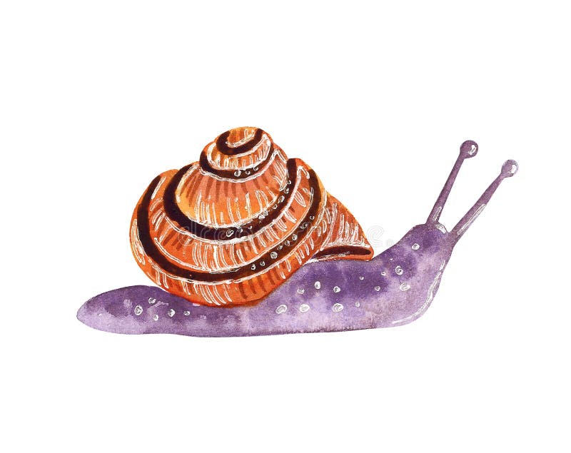 Weinig tuinslak in shell De illustratie, purple en de sinaasappel van de beeldverhaalstijl stock illustratie Weinig tuinslak in shell De illustratie, purple en de sinaasappel van de beeldverhaalstijl stock illustratie