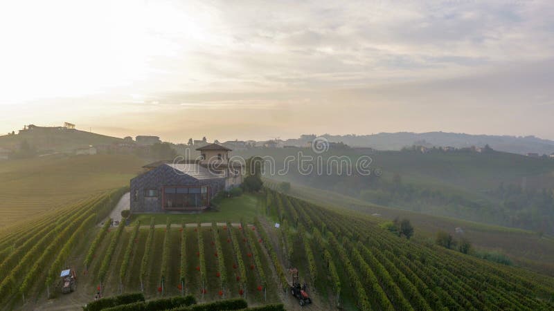 Weinkellereiitalien-barolo stockfotografie Weinkellereiitalien-barolo stockfotografie