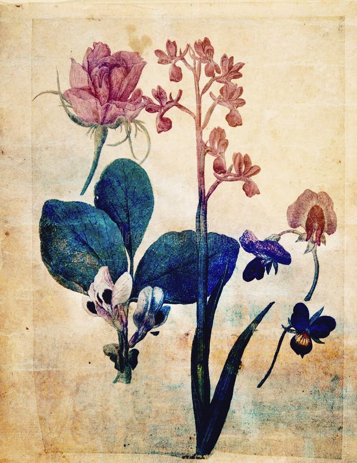 Weinlese-Art-botanische Blumen-Wand-Kunst in den reichen Farben lizenzfreie abbildung Weinlese-Art-botanische Blumen-Wand-Kunst in den reichen Farben lizenzfreie abbildung