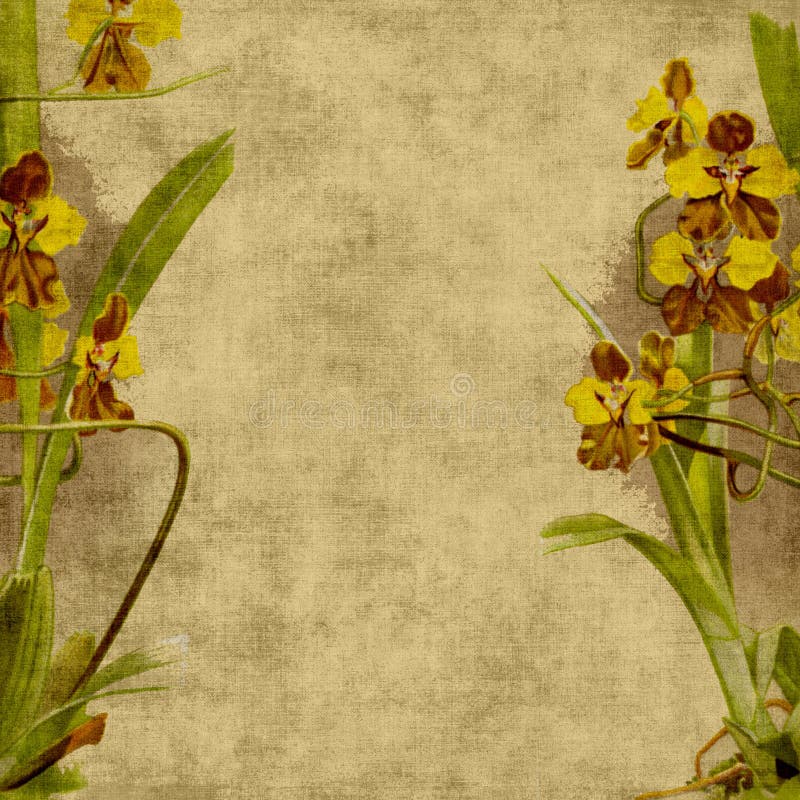 Weinlese-Blumen-Einklebebuch-Hintergrund