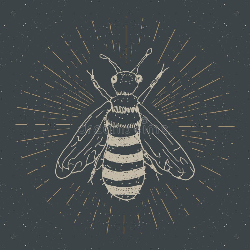 Weinleseaufkleber, Hand gezeichnete Biene, Schmutz maserte Ausweis, Retro- Logoschablone, Typografiedesign-Vektorillustration vektor abbildung Weinleseaufkleber, Hand gezeichnete Biene, Schmutz maserte Ausweis, Retro- Logoschablone, Typografiedesign-Vektorillustration vektor abbildung