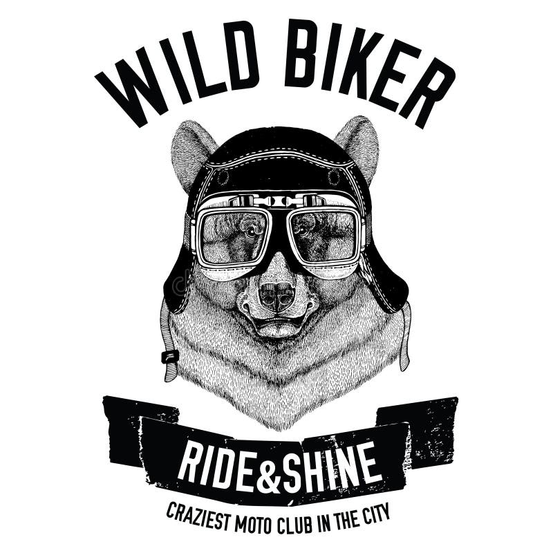 Weinlesebilder des schwarzen Bären für T-Shirt entwerfen für Motorrad, Fahrrad, Motorrad, Rollerclub vektor abbildung Weinlesebilder des schwarzen Bären für T-Shirt entwerfen für Motorrad, Fahrrad, Motorrad, Rollerclub vektor abbildung