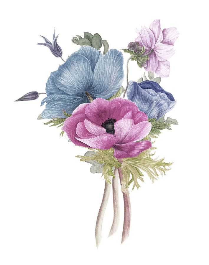 Weinleseblumenstrauß von Blumen: Anemonen, Klematis und Niederlassungen des Eukalyptus lizenzfreie abbildung Weinleseblumenstrauß von Blumen: Anemonen, Klematis und Niederlassungen des Eukalyptus lizenzfreie abbildung