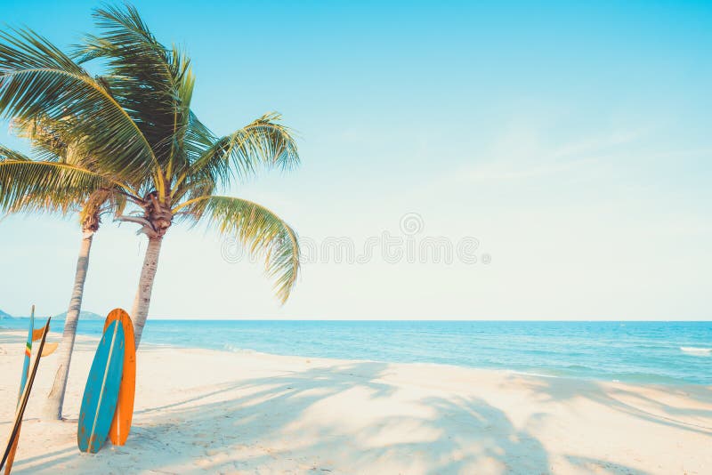 Weinlesebrandungsbrett mit Palme auf tropischem Strand