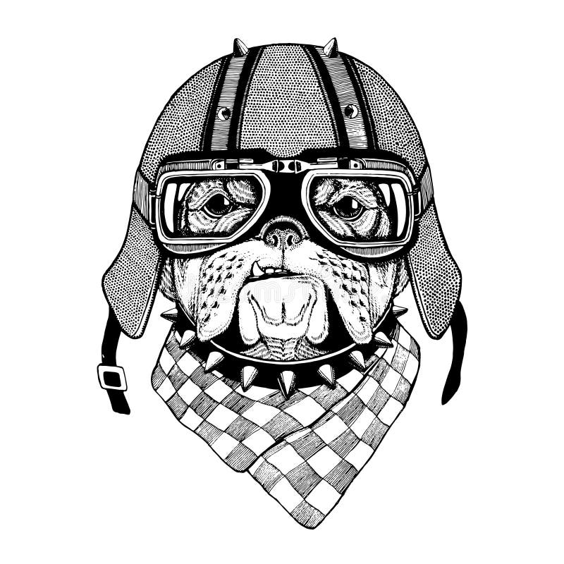 Weinlesevektorbilder von Hunden für T-Shirt entwerfen für Motorrad, Fahrrad, Motorrad, Rollerclub, aero Club vektor abbildung Weinlesevektorbilder von Hunden für T-Shirt entwerfen für Motorrad, Fahrrad, Motorrad, Rollerclub, aero Club vektor abbildung