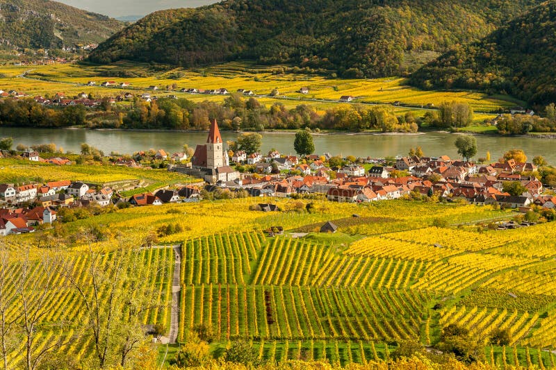 Weissenkirchen Wachau Austria en otoño coloreó las hojas y viney imágenes de archivo libres de regalías Weissenkirchen Wachau Austria en otoño coloreó las hojas y viney imágenes de archivo libres de regalías