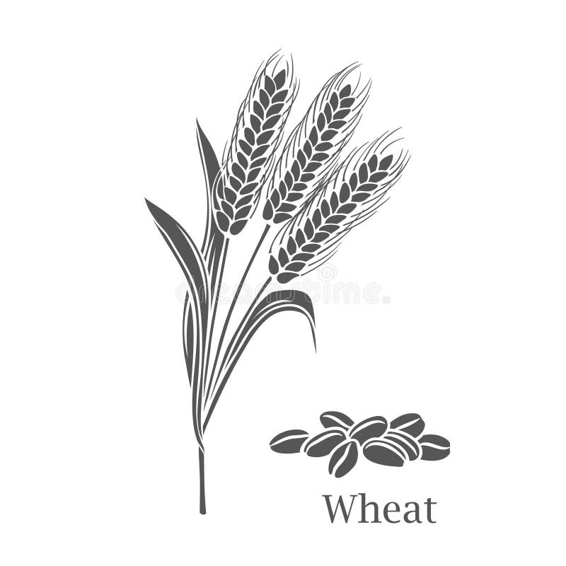 Weizen Getreide Ernte Glyphen-Symbol stock abbildung