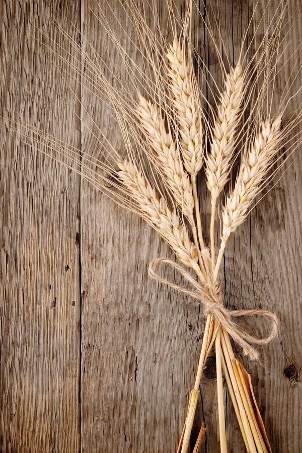 Wheat ears on wooden background. Wheat ears on wooden background