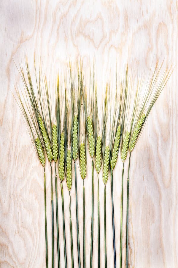 Wheat ears on wooden background. Wheat ears on wooden background