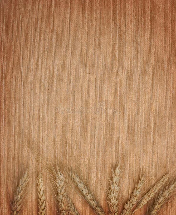 Wheat ears on a textile background. Wheat ears on a textile background