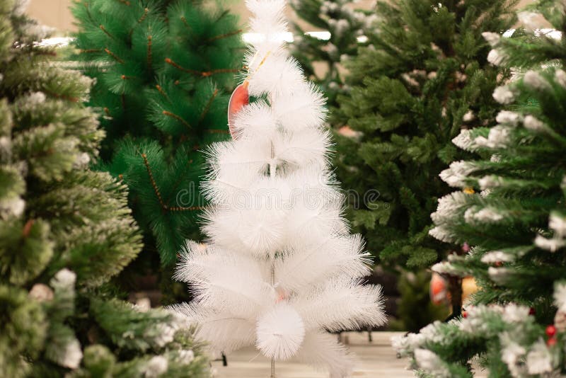Weiß Grün des Weihnachtsbaum-Verkaufs lizenzfreie stockfotografie
