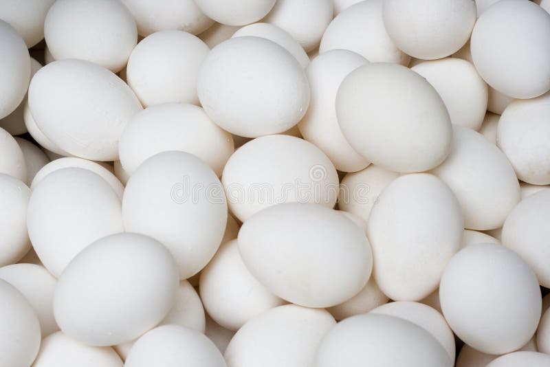 Weiße Eier lizenzfreie stockfotografie