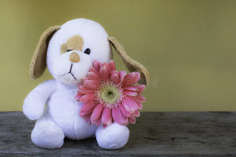 Weiße Hundepuppen-/-spielzeuggriffrosablume stockbild Weiße Hundepuppen-/-spielzeuggriffrosablume stockbild