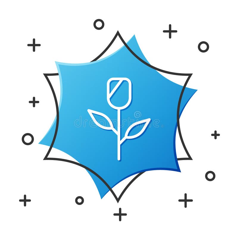 Weiße Linie Blume stieg das Symbol, die auf weißem Hintergrund isoliert wurde. Blue Hexagonknopf. Vektor stock abbildung