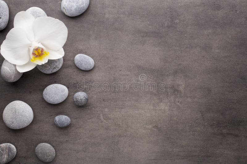 Weiße Orchideen- und Badekurortsteine auf dem grauen Hintergrund stockfotos Weiße Orchideen- und Badekurortsteine auf dem grauen Hintergrund stockfotos