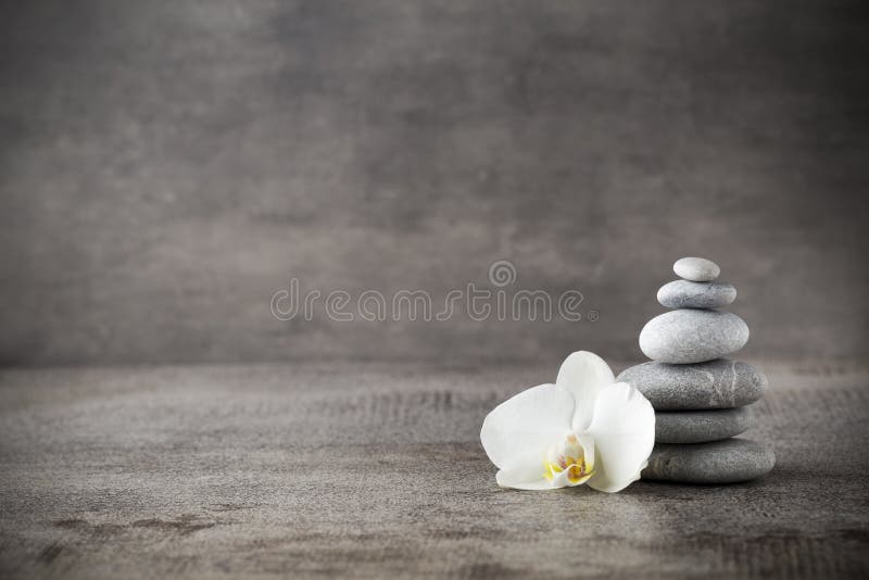 Weiße Orchideen- und Badekurortsteine auf dem grauen Hintergrund stockbilder Weiße Orchideen- und Badekurortsteine auf dem grauen Hintergrund stockbilder