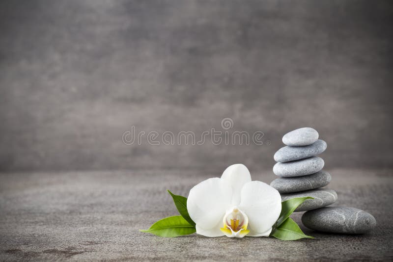 Weiße Orchideen- und Badekurortsteine auf dem grauen Hintergrund stockfotografie Weiße Orchideen- und Badekurortsteine auf dem grauen Hintergrund stockfotografie
