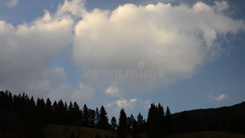 Weiße Wolken bewegen sich über schwarze Tannenbaumschattenbilder