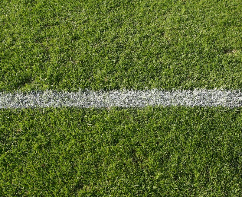 Weiße Zeile auf Gras stockbilder Weiße Zeile auf Gras stockbilder