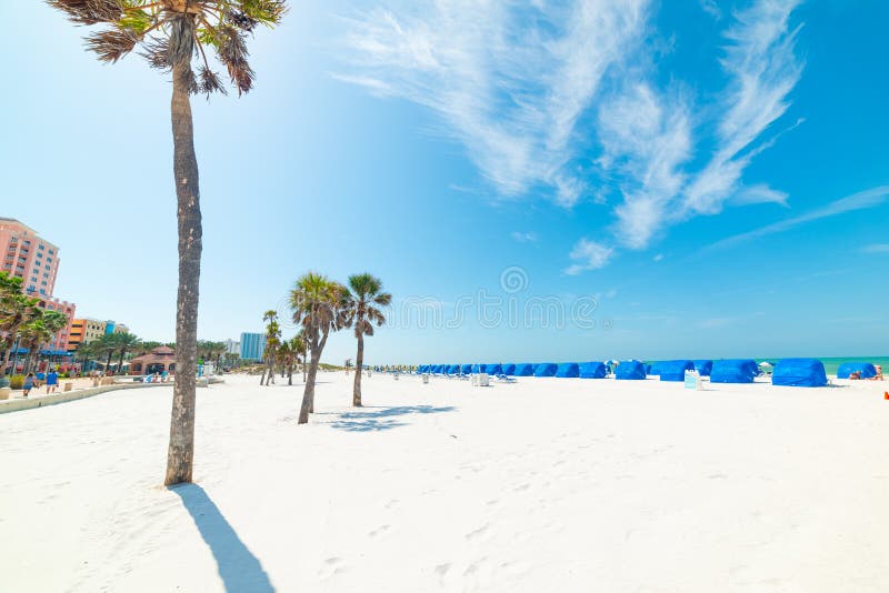 Clearwater, USA - February 24, 2019: White sand and palm trees in Clearwater beach, tampa, tropical, florida, editorial, united, states, america, man, person, people, tropics, beautiful, blue, island, sea, seascape, coast, shoreline, coastline, relax, chair, colorful, landscape, nature, ocean, outdoors, scenic, summer, sky, sun, tourism, travel, turquoise, view, waterfront, waves. Clearwater, USA - February 24, 2019: White sand and palm trees in Clearwater beach, tampa, tropical, florida, editorial, united, states, america, man, person, people, tropics, beautiful, blue, island, sea, seascape, coast, shoreline, coastline, relax, chair, colorful, landscape, nature, ocean, outdoors, scenic, summer, sky, sun, tourism, travel, turquoise, view, waterfront, waves