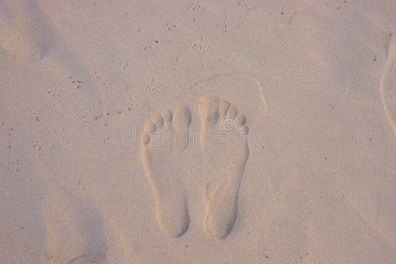 Weißer Sandstrand mit Kennzeichen des bloßen Fußes im Sonnenaufganglicht Draufsicht des Sandstrandes lizenzfreie stockbilder Weißer Sandstrand mit Kennzeichen des bloßen Fußes im Sonnenaufganglicht Draufsicht des Sandstrandes lizenzfreie stockbilder
