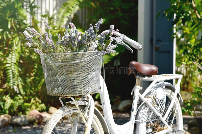 Weißes Fahrrad der Weinlese mit Blumenstrauß von Blumen im Korb lizenzfreies stockbild Weißes Fahrrad der Weinlese mit Blumenstrauß von Blumen im Korb lizenzfreies stockbild