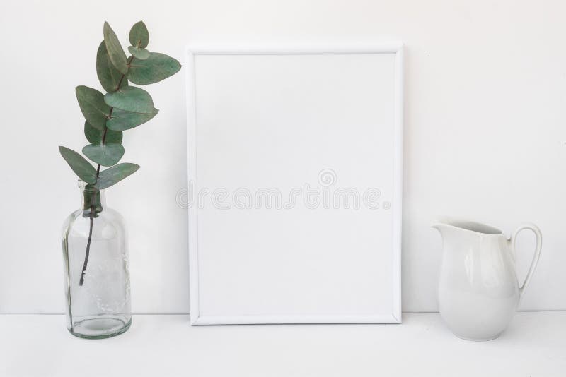 Weißes Rahmenmodell, Eukalyptusniederlassung in der Glasflasche, Pitcher, redete unbedeutendes sauberes Bild an stockbilder