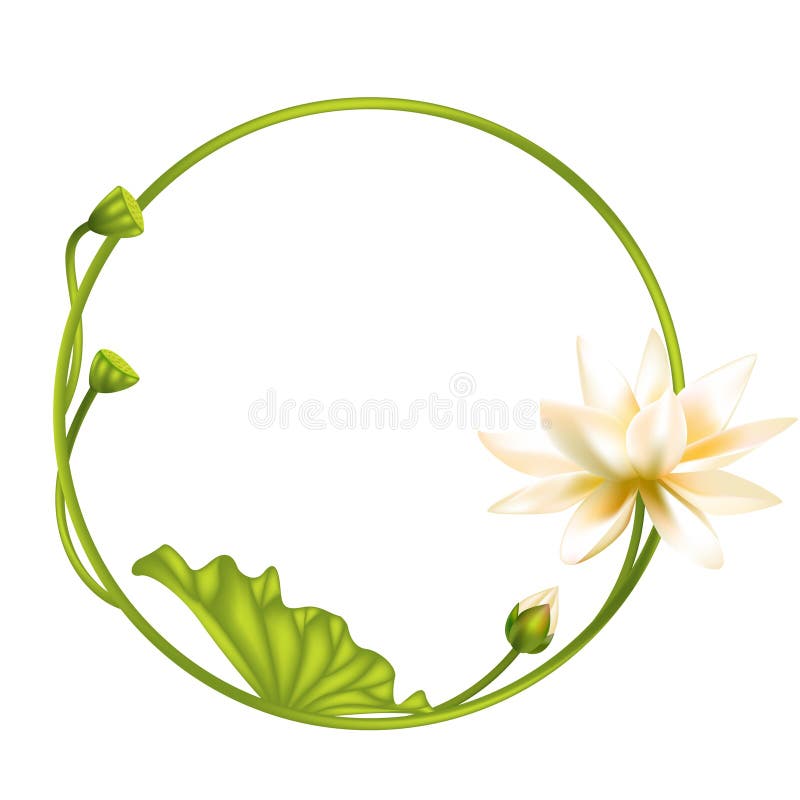 Weißlotus. blumengeschmückter Hintergrund. Goldrahmen mit Blumen und Blättern. Buddhismus-Symbol. Grenze. India. Asiatinnen. lizenzfreie abbildung