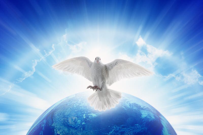 Weißtaubensymbol der Liebe und des Friedens fliegt über Planet Erde