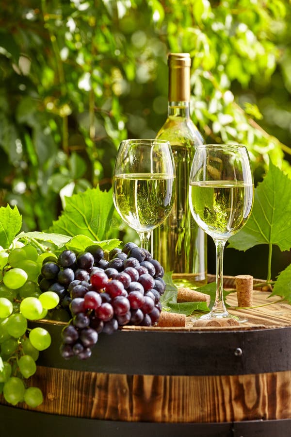 Weißwein Mit Weinglas Und Trauben Auf Gartenterrasse Stockfoto Bild