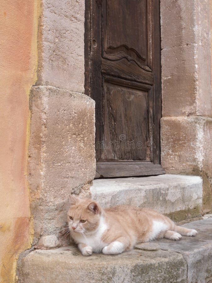 Wejściowy stary drzwiowy drewno z łgarskim kotem przy Roussillon wioską Provence Francja obrazy royalty free Wejściowy stary drzwiowy drewno z łgarskim kotem przy Roussillon wioską Provence Francja obrazy royalty free