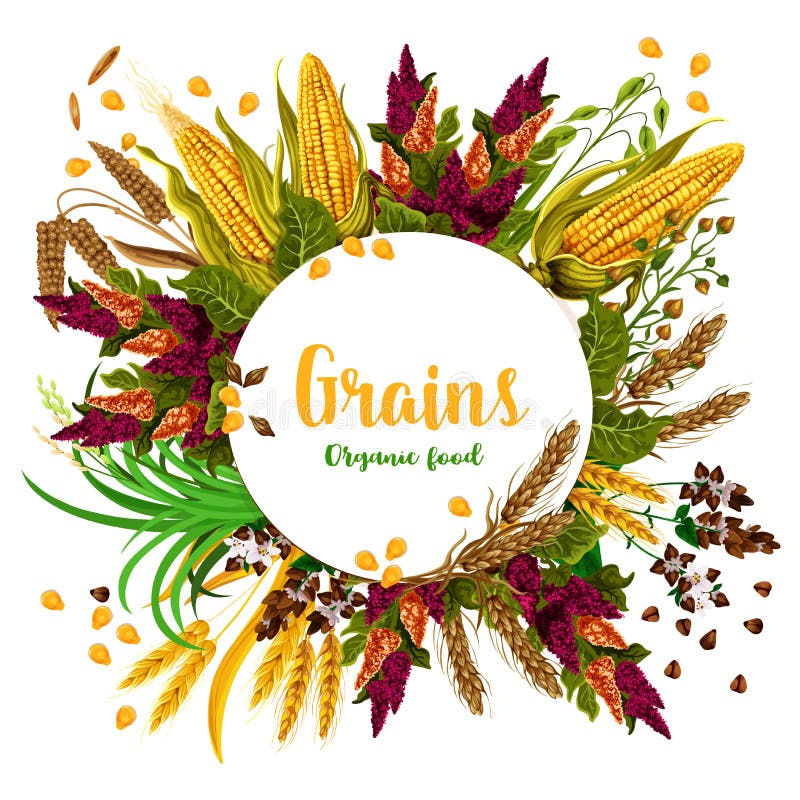 Wektor groszkuje świeżego żywność organiczna plakat royalty ilustracja Wektor groszkuje świeżego żywność organiczna plakat royalty ilustracja
