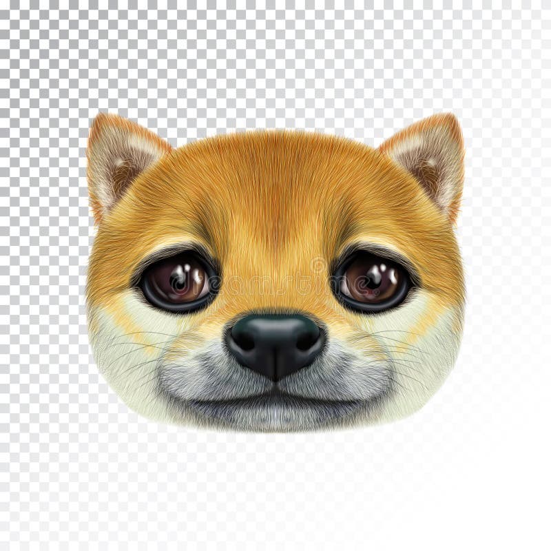 Wektor Ilustrujący portret Shiba Inu pies ilustracja wektor Wektor Ilustrujący portret Shiba Inu pies ilustracja wektor