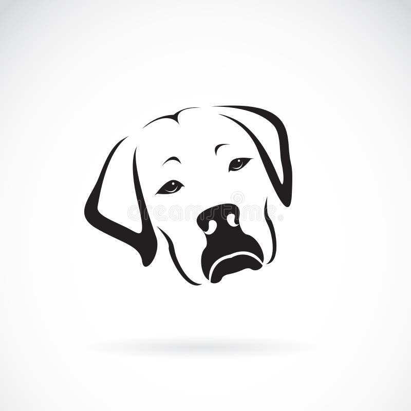 Wektor psi headLabrador aporter na białym tle ilustracja wektor Wektor psi headLabrador aporter na białym tle ilustracja wektor