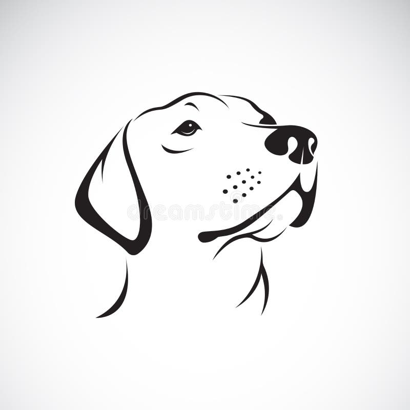Wektor psi headLabrador aporter na białym tle royalty ilustracja Wektor psi headLabrador aporter na białym tle royalty ilustracja