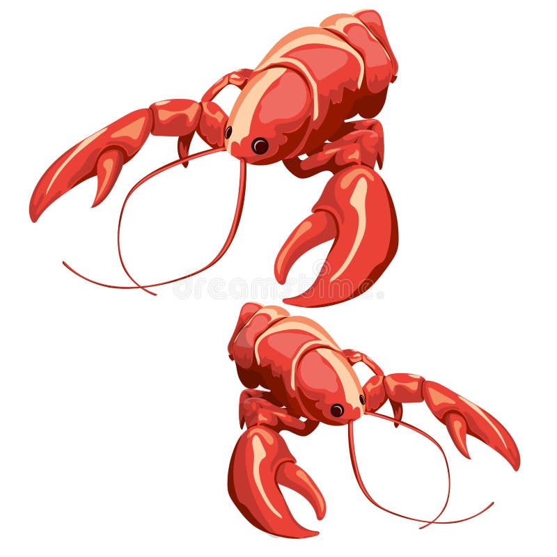 Vector boiled crayfish, for a delicious lunch or a nice snack. Vector boiled crayfish, for a delicious lunch or a nice snack