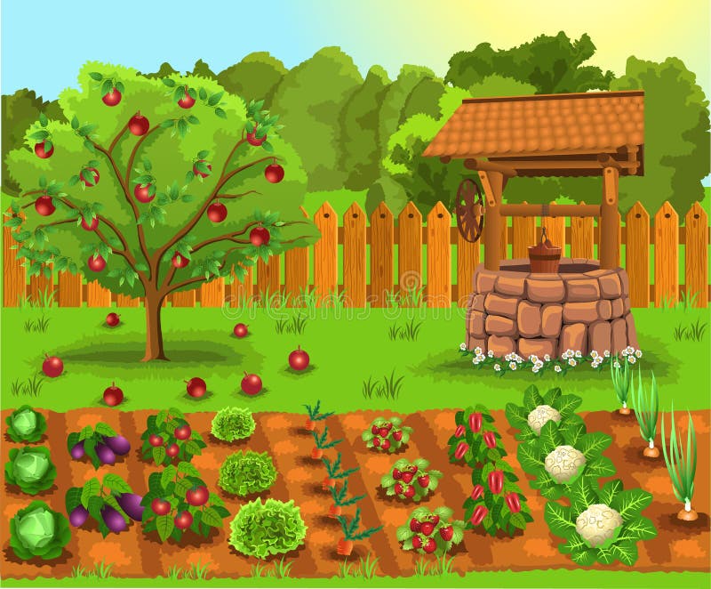 Wektorowa ilustracja ogród z jabłonią, starym well, warzywa i owoc