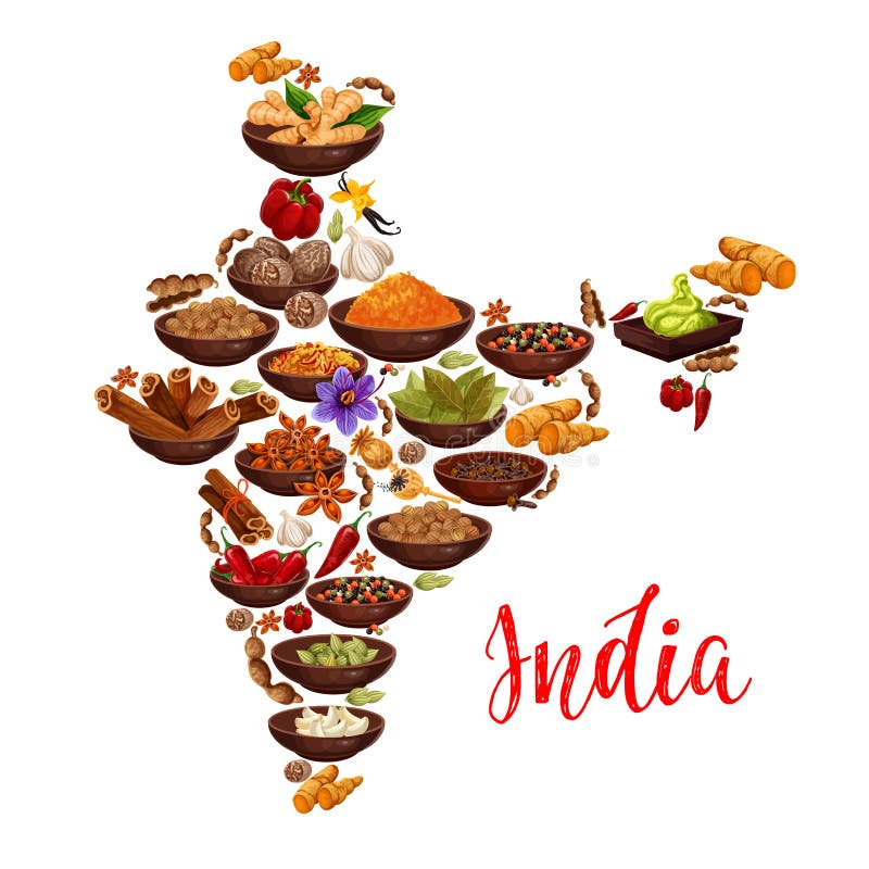 Wektorowa India mapa Indiańskie pikantność