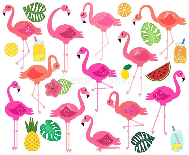 Wektorowa kolekcja flamingi, napoje, Tropikalni liści, Owocowych i Summery ilustracja wektor