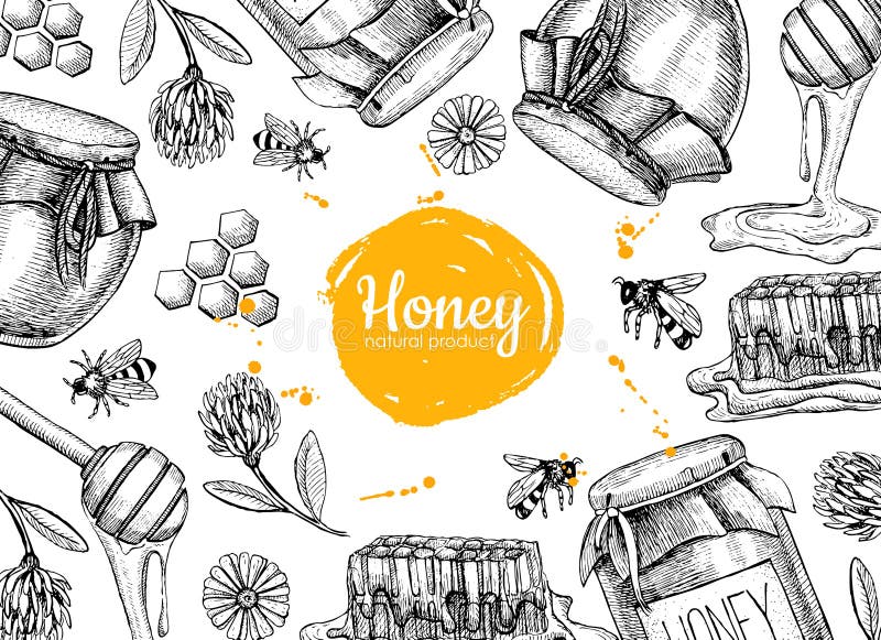 Vector honey hand drawn frame illustrations. Jar, bee, honeycomb, flower engraved objects. Great for banner, poster, label, brochure template for business promote. Vector honey hand drawn frame illustrations. Jar, bee, honeycomb, flower engraved objects. Great for banner, poster, label, brochure template for business promote.