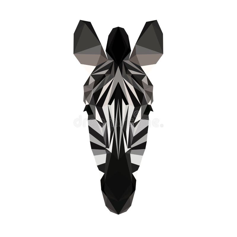 Wektorowa poligonalna zebra odizolowywająca na bielu ilustracji