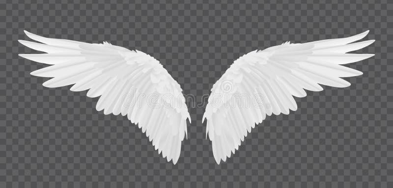 Wektorowi realistyczni aniołów skrzydła odizolowywający na przejrzystym tle