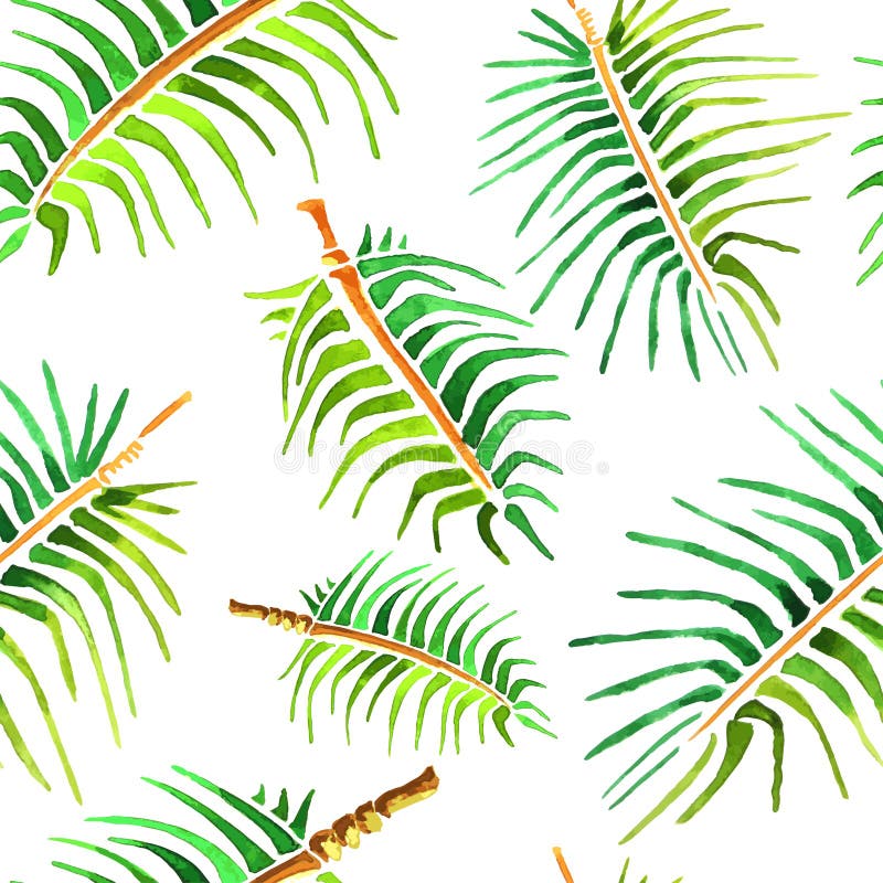 Wektorowy akwareli drzewka palmowego liścia tło ilustracja wektor Wektorowy akwareli drzewka palmowego liścia tło ilustracja wektor
