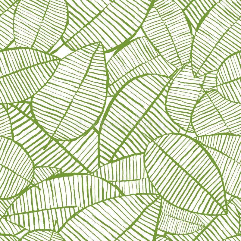 Wektorowy bezszwowy akwarela liści wzór Zielony i biały wiosny tło Kwiecisty projekt dla moda tekstylnego druku